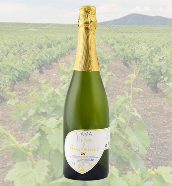Botella Codorniu Sierra Guadalupe