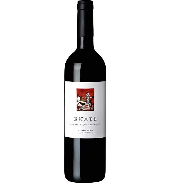 Botella D O Samontano Enate