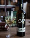Copa Montilla Alvear