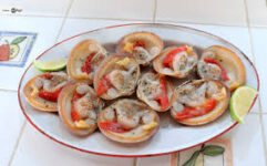 Conchas finas