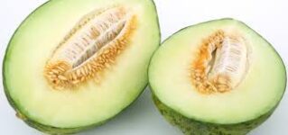 Melón