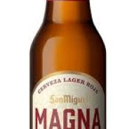 sanmiguelMagna sanmiguelMagna